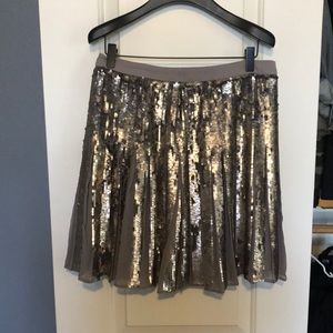 Banana Republic Silver Sequin A-Line Skirt